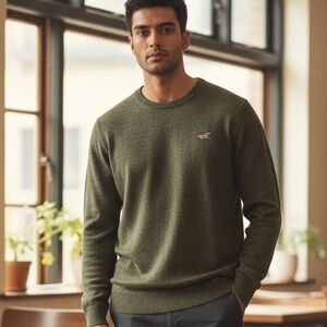 Hollister Olive Knit Sweater for Men